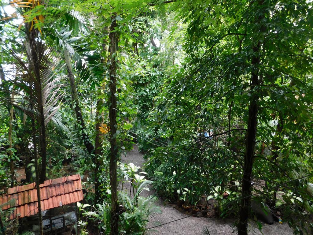 Green Woods Bethlehem Kochi المظهر الخارجي الصورة