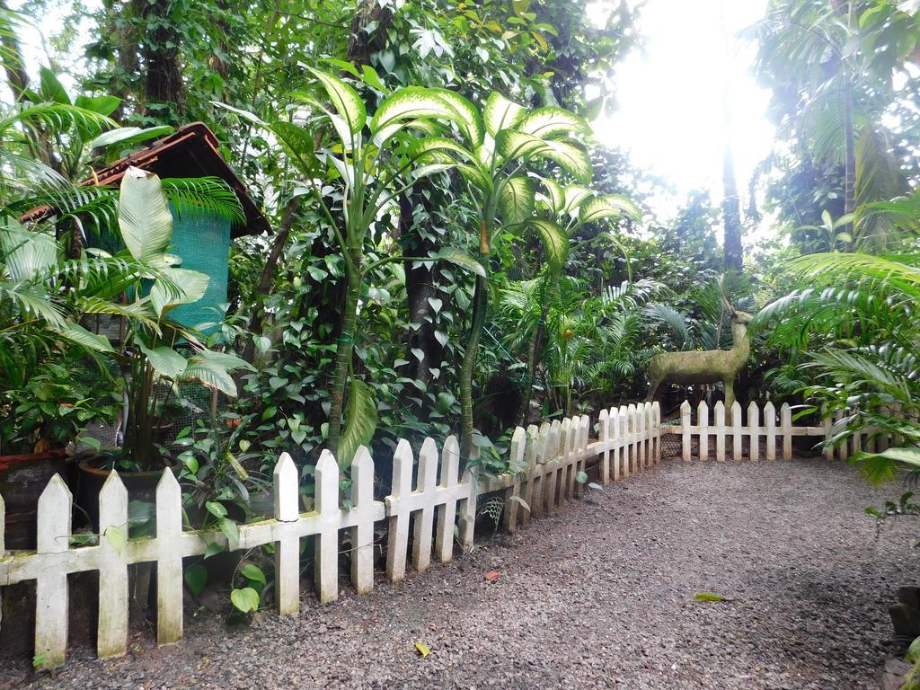 Green Woods Bethlehem Kochi المظهر الخارجي الصورة