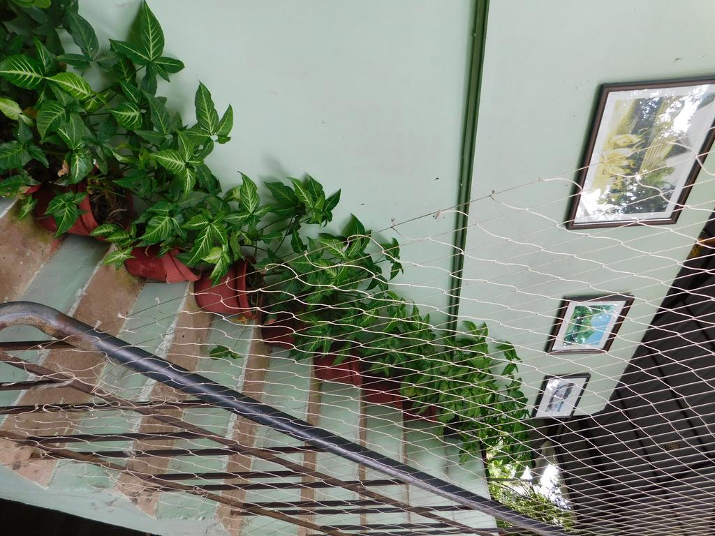 Green Woods Bethlehem Kochi المظهر الخارجي الصورة